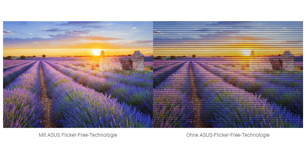 ASUS ZenScreen MB16AH 39,6cm (15,6'') TFT