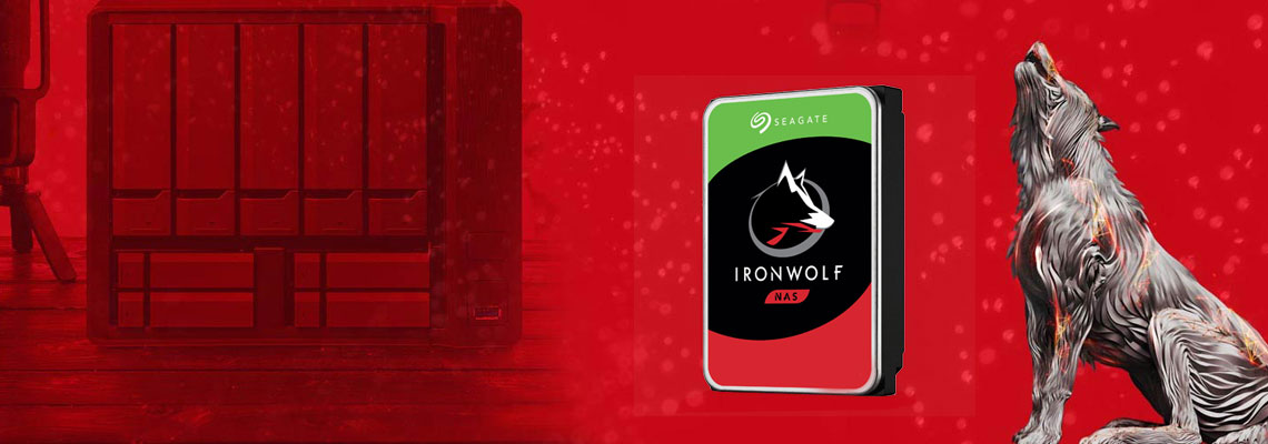 Speicherung von Daten mit der Festplatte SEAGATE HDD IronWolf 3,5 Zoll 6.0 TB 5400 256MB SATA