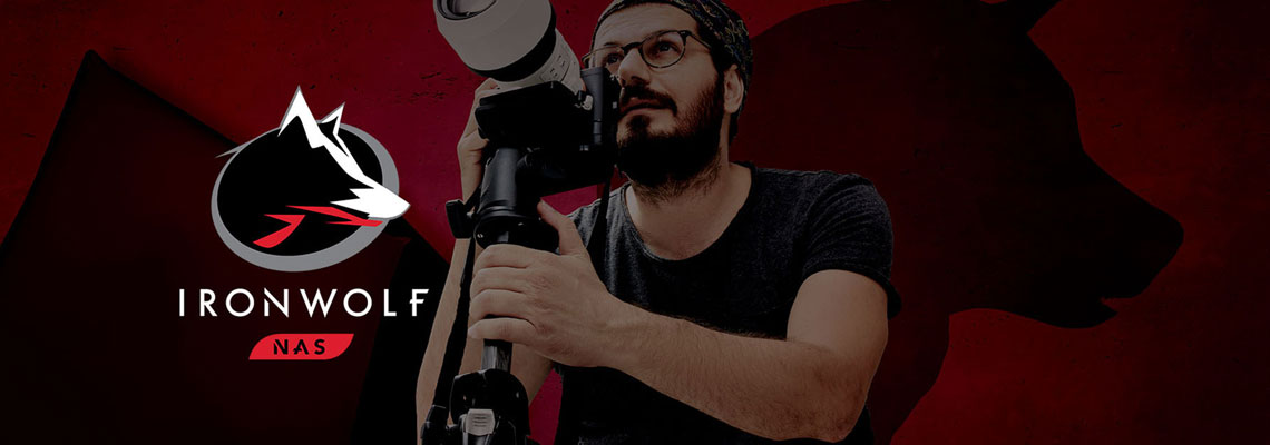 Die Festplatte mit der AgileArray Technologie SEAGATE HDD IronWolf 3,5 Zoll 6.0 TB 5400 256MB SATA